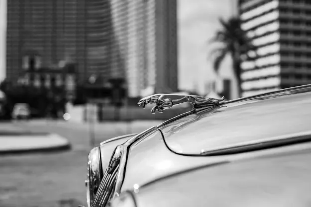 Kazoom Casinò App Android/iOS